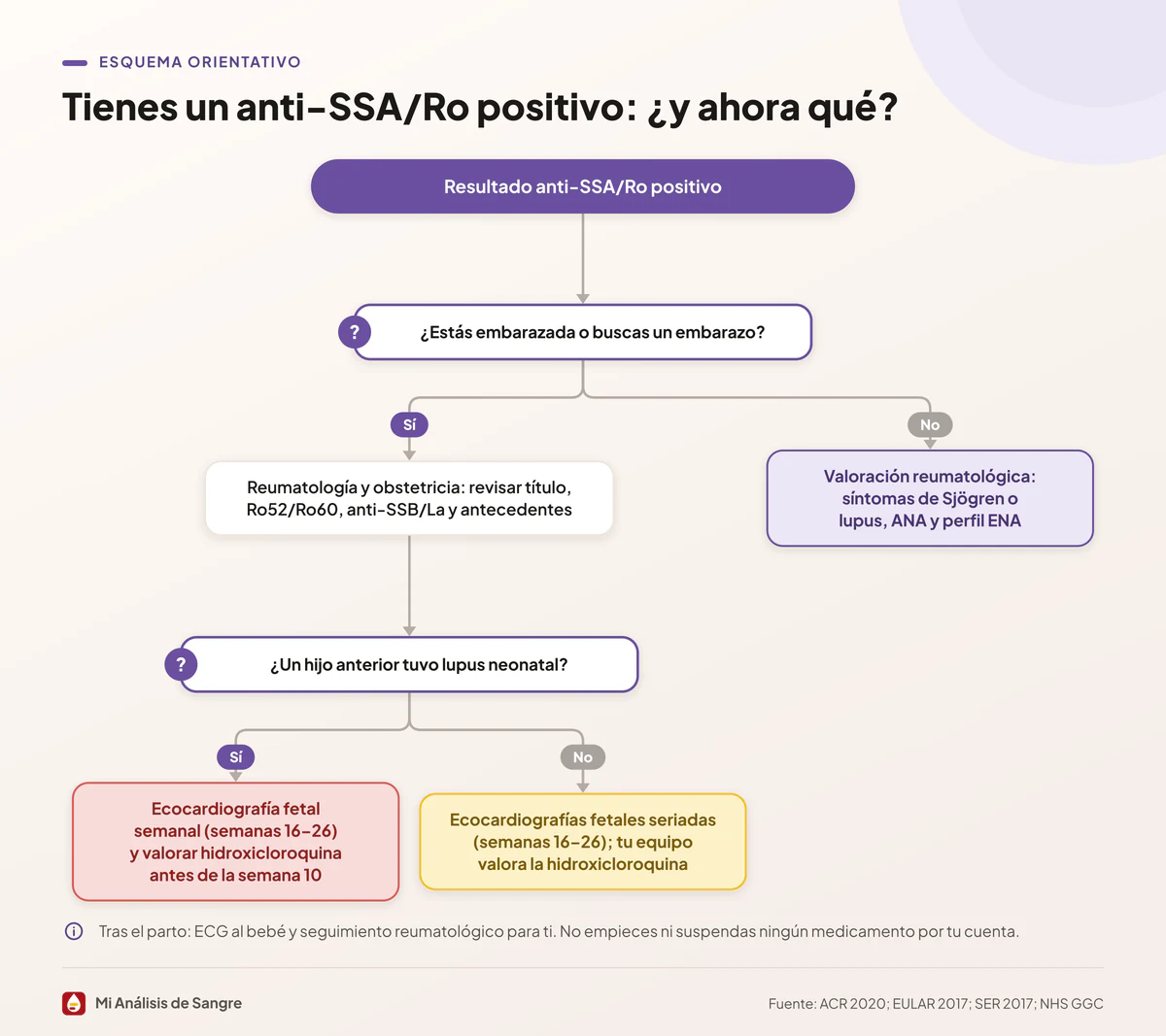 Diagrama de decisión desde un anti-SSA/Ro positivo, con ramas según busques embarazo o no y los controles de cada camino